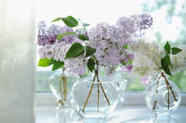 Violet Lila çiçek demet vazo pencerede