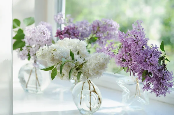 Violet Lila çiçek demet vazo pencerede