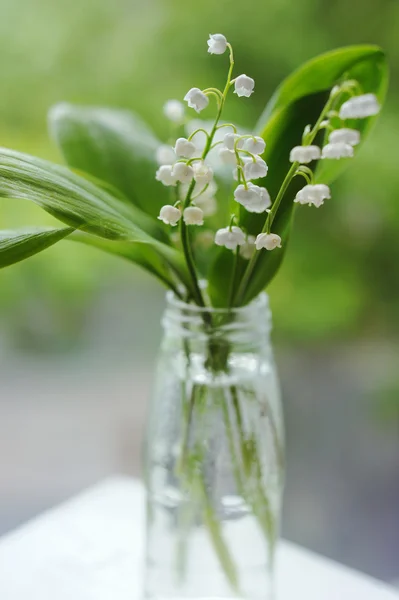 Lily of the valley bouquet on natural background — Stock Photo, Image