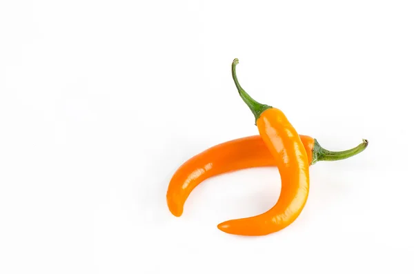 Chili pepper isolated on white background — Stock Photo, Image