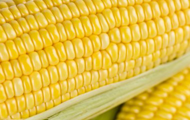 sebze Mısır taneleri