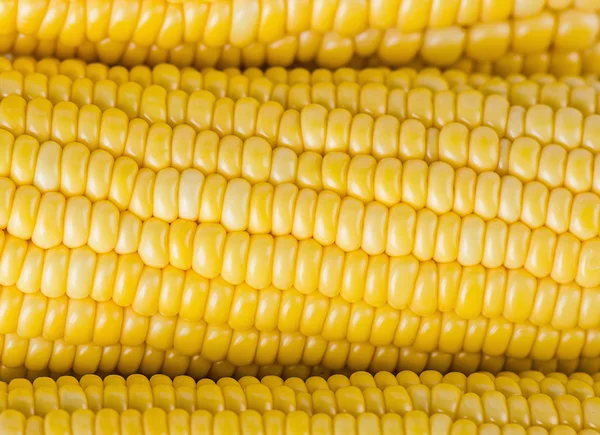 sebze Mısır taneleri