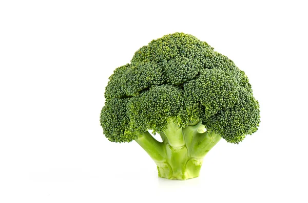 Taze brokoli izole beyaz zemin üzerine Stok Fotoğraf