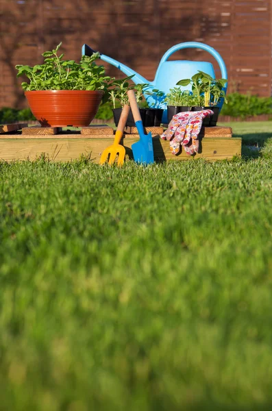 Ferramentas de jardinagem — Fotografia de Stock