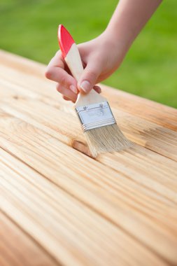 ahşap zemin üzerine fırça ile el
