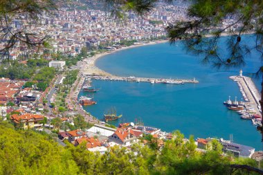 Türkiye 'nin Alanya tatil beldesi yüksek bir tepeden kozalaklı çalılıkların arasından görülüyor.