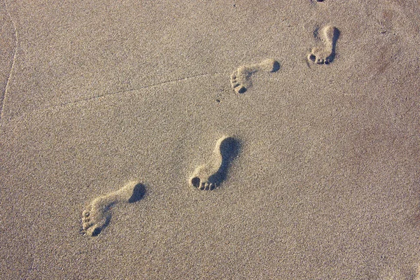 Footprints Wet Sand Seashore — Stock Photo, Image