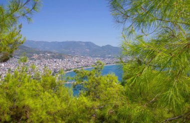 Türkiye 'nin Alanya tatil beldesi yüksek bir tepeden kozalaklı çalılıkların arasından görülüyor.