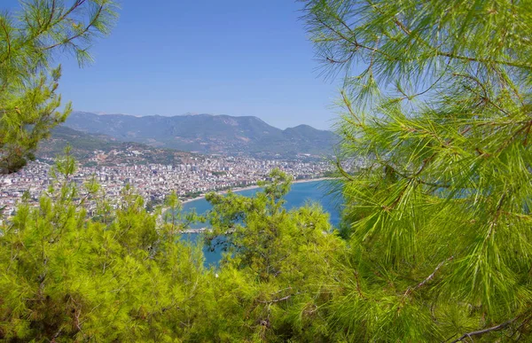 Вид Турецкий Курортный Город Аланья Высоты Через Хвойные Заросли — стоковое фото