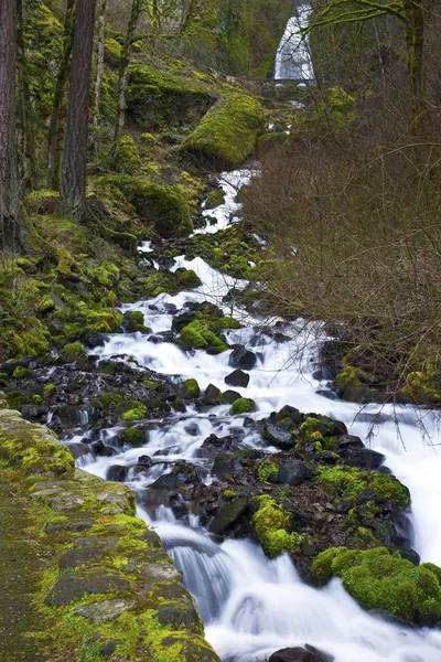 オレゴン州の峡谷、コロンビア水のカスケード. — ストック写真