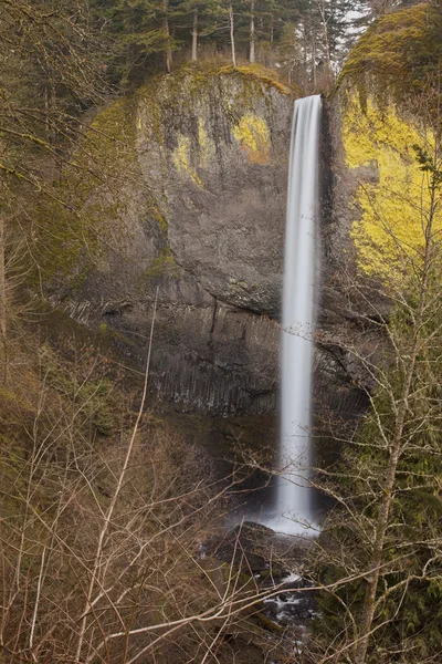 La Tourell Falls Columbia River Gorge Oregon. — Stock Photo, Image