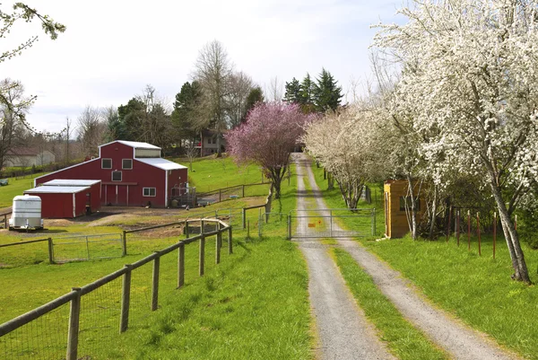 Azienda agricola a conduzione familiare nelle campagne dell'Oregon . — Foto Stock