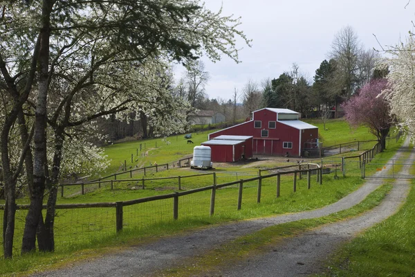 Családi gazdaság vidéki Oregon. — Stock Fotó