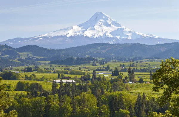 Mt. Hood and Hood River valley. — Stock Photo, Image