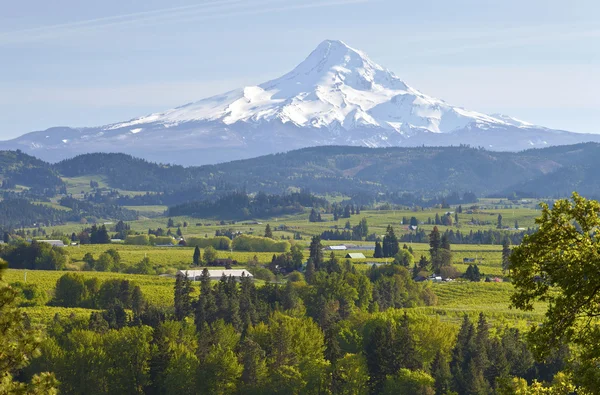 Mt. Hood e Hood River Valley . — Fotografia de Stock