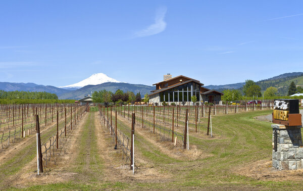 Винодельня Маунт Худ
.