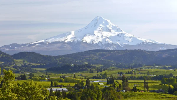 Mt. Hood and Hood River valley panorama. — Stock Photo, Image