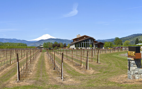 Винодельня Маунт Худ
.