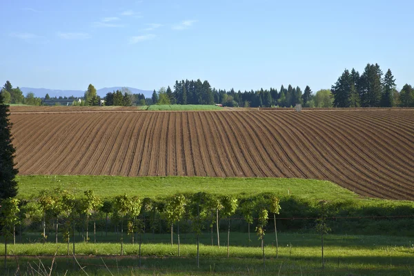 Fertile field rural Oregon. — Stock Photo, Image