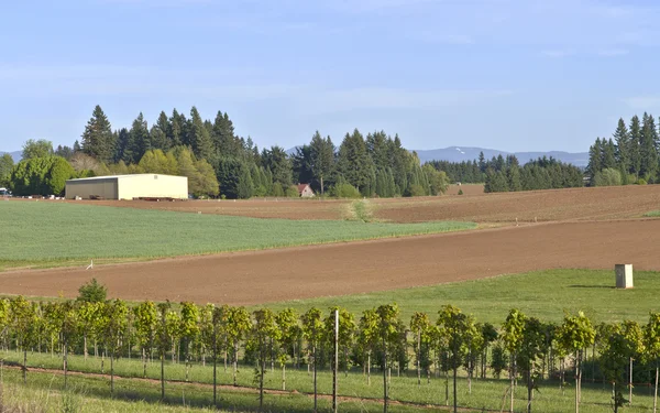 Fertile field in rural Oregon. — Stock Photo, Image