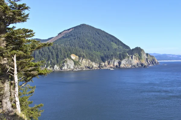 Punto di vista Cape Falcon Costa dell'Oregon . — Foto Stock