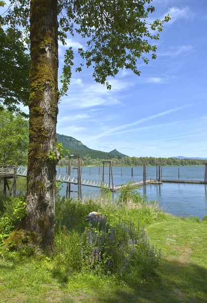 Beacon Rock Columbia River Gorge Wa. — Foto Stock