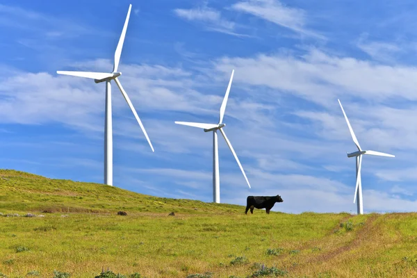 Energia eolica Washington orientale . — Foto Stock