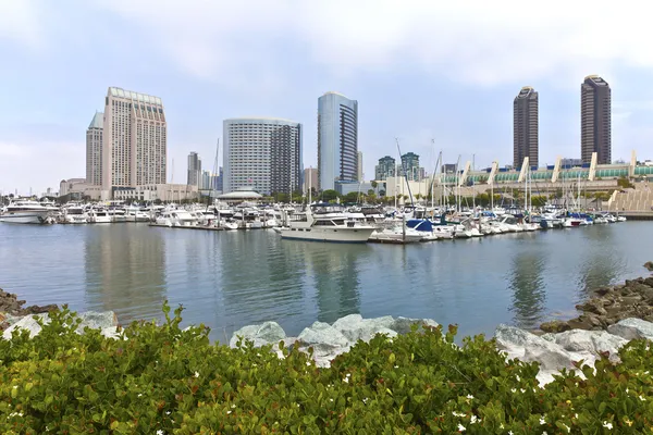 Puerto deportivo de San Diego y los edificios del centro . —  Fotos de Stock
