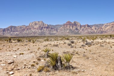 Red Rock Canyon Nevada.