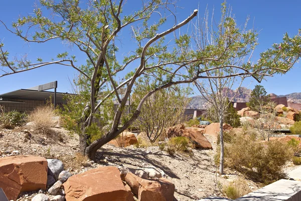 Red Rock Canyon Nevada. — Stock fotografie