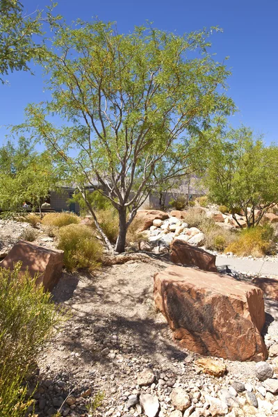 Red Rock Canyon Nevada. — Stockfoto