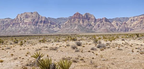 Red Rock Canyon panorama Nevada. — Stock fotografie