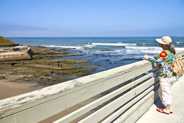 Ocean view point loma Kalifornii. — Stock fotografie