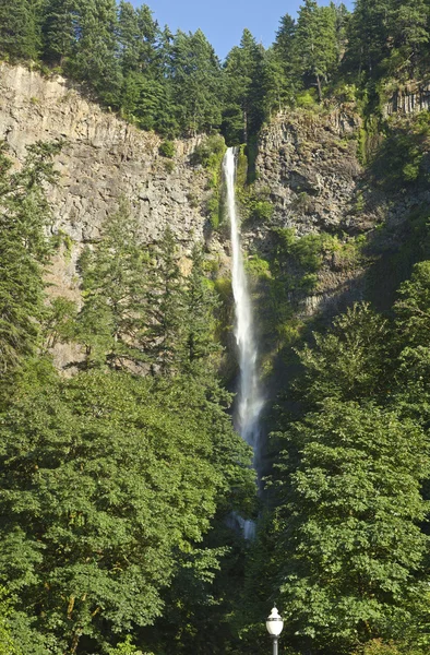 Multnomah Falls panorama Oregon. — Stock Photo, Image