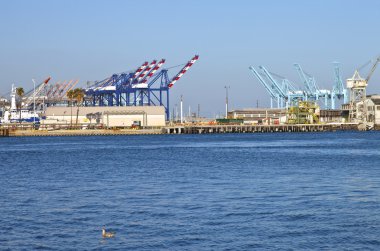 San pedro terminalleri Güney Kaliforniya.
