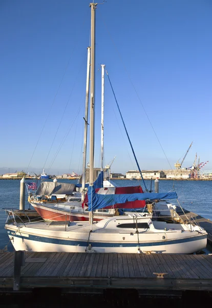 Zeilboten in een haven san pedro Californië. — Stockfoto