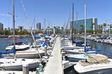 Long beach marina Kaliforniya.