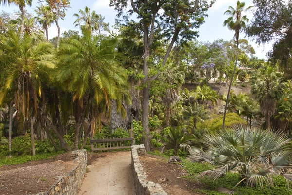 Balboa park gardens san diego kalifornien. — Stockfoto