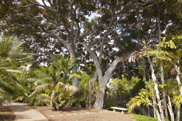 Balboa park gardens San Diego California.
