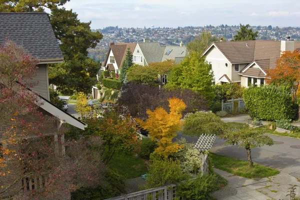 Осенние цвета в жилом районе Seattle WA . — стоковое фото