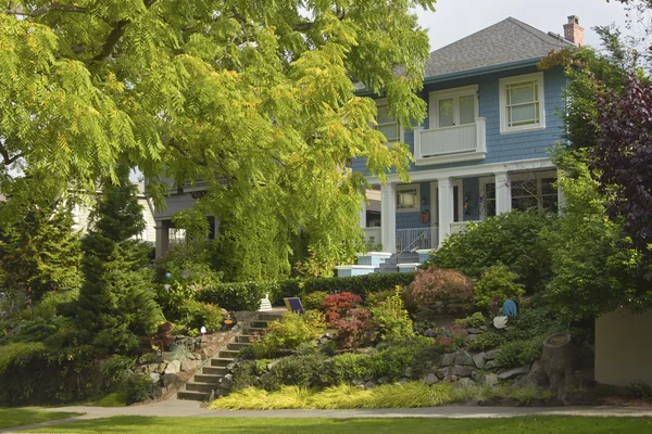 Grande árvore e casa área residencial Seattle WA . — Fotografia de Stock