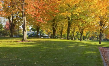 kamu Parkı panorama gresham oregon.