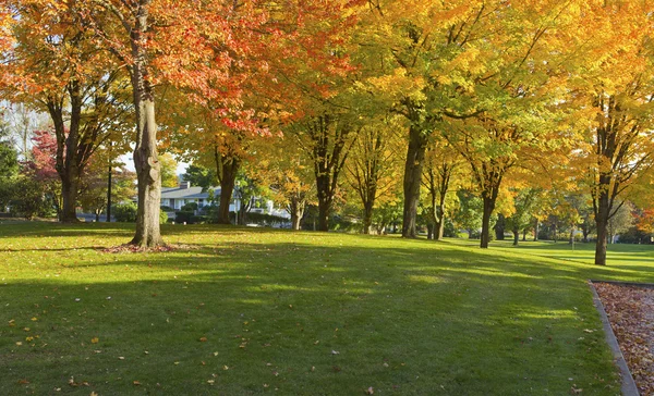 Public park panorama Gresham Oregon. — Stock Photo, Image