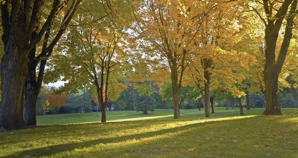 Public park panorama Gresham Oregon. — Stock Photo, Image