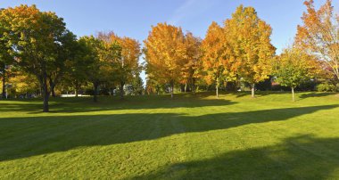 kamu Parkı panorama gresham oregon.