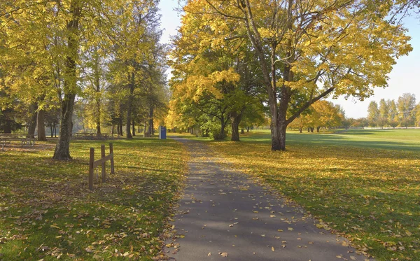 Autunno d'oro nel parco Blue Lake Oregon . — Foto Stock