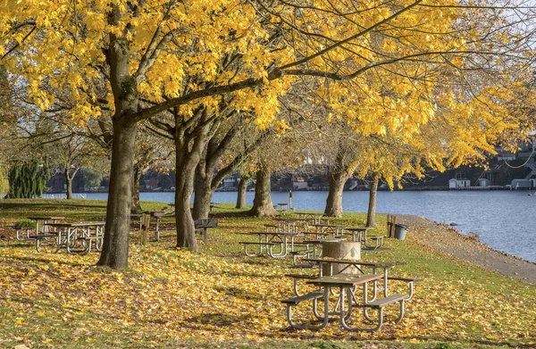 Picknick område blue lake park oregon. — Stockfoto