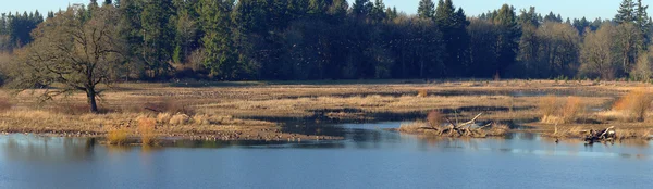 Tualatin nemzeti wildlife menedéket az oregon. — Stock Fotó