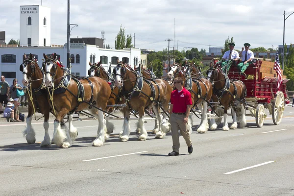 Portland Oregon desfile de rosas . — Fotografia de Stock