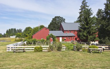 Champoeg devlet parkı Oregon.